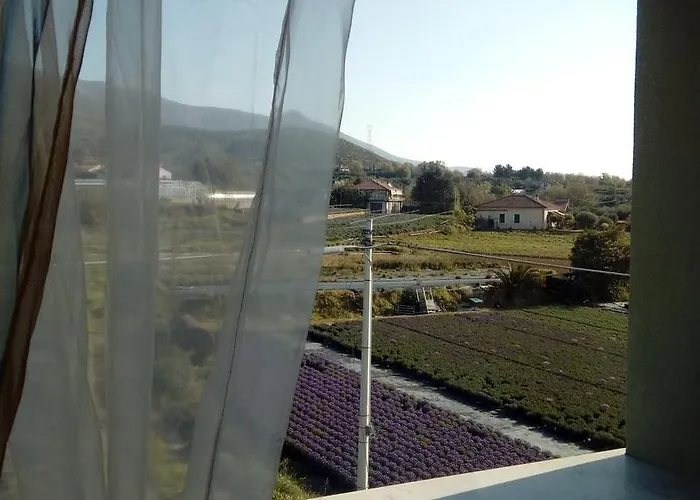 维拉米尔住宿加早餐旅馆 阿尔本加