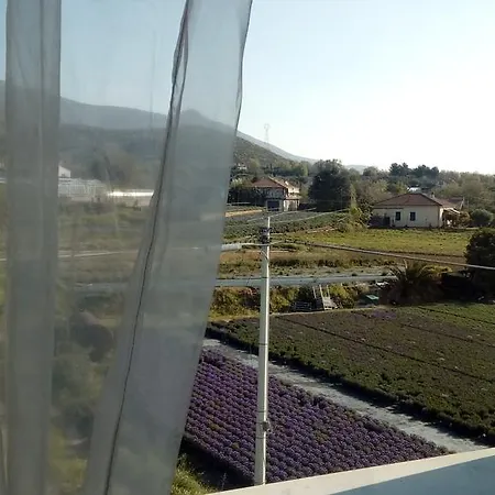 维拉米尔住宿加早餐旅馆 阿尔本加